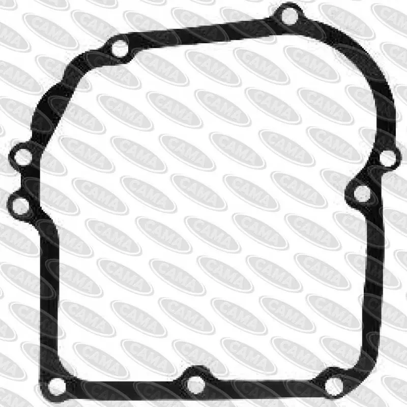 Authentic Tecumseh Crankcase Gasket Replacement 1