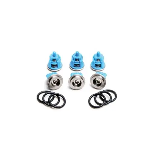 Bertolini Valve Kit – Model Kit141 Service Replacement 1