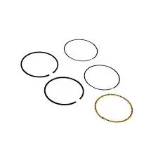Briggs & Stratton 590523 Piston Ring Set 1