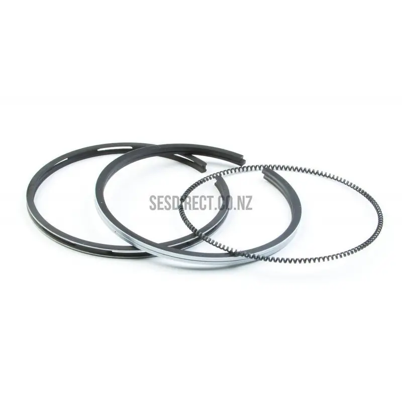 Briggs & Stratton 792366 Piston Ring Set (Replaces 390484, 390679) 1