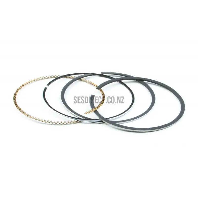Briggs & Stratton 795431 Piston Ring Set 1
