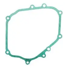 Briggs & Stratton 797211 Crankcase Gasket 1