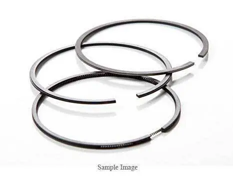 Briggs & Stratton 797220 Genuine Piston Ring Set 1