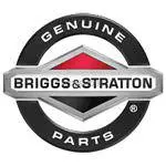 Briggs & Stratton 843823 Oversized Piston Assembly (.020") 1