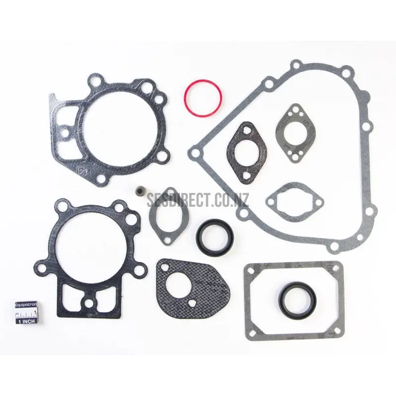 Briggs & Stratton Engine Gasket Kit #695438 (Updated Version Of 697715) 1