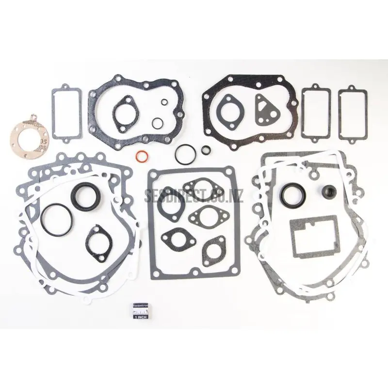 Briggs & Stratton Engine Gasket Kit – Replaces #491856 And #394501, Includes #495868 Components 1