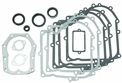 Briggs & Stratton Engine Gasket Kit – Upgraded Replacement For #490525 (Part #494241) 1