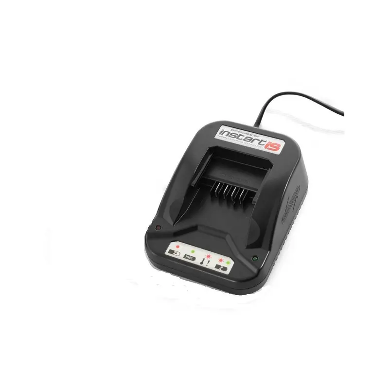 Briggs & Stratton In-Start Battery Charger (Part #596335, Battery Not Included) 1