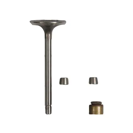Briggs & Stratton Intake Valve Replacement – Model 845712 1