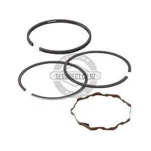 Briggs & Stratton Piston Ring Set (Part #696403) 1