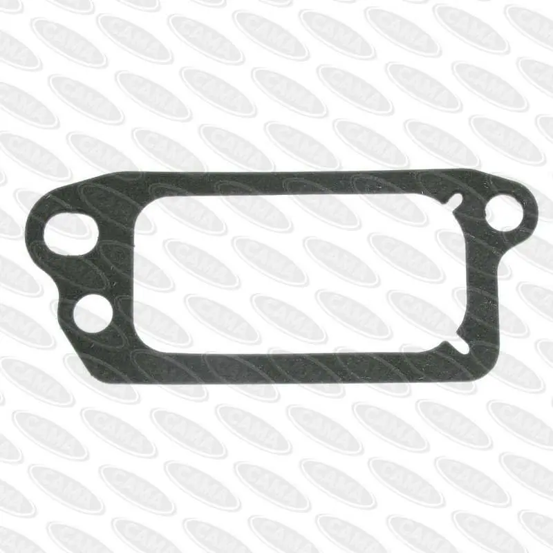 Briggs & Stratton Quantum Engine Valve Gasket – Part #272481 1