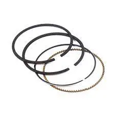 Briggs & Stratton Standard Ring Set – Model 791969 1