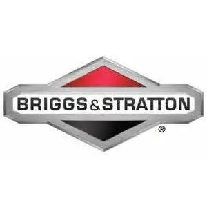 Briggs & Stratton Valve Spring – High-Performance Replacement 1