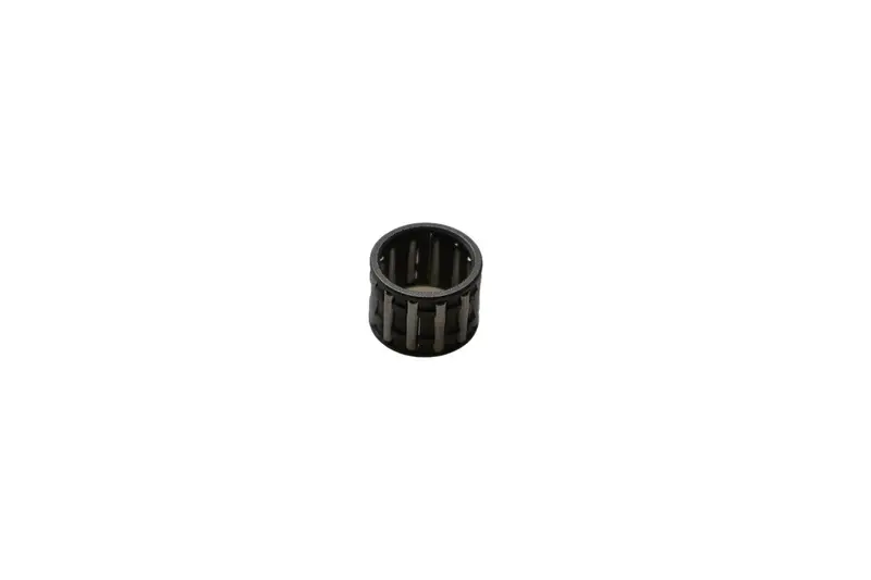 Cs3700 / Cs4200 Needle Roller Bearing Set 1