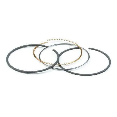 Genuine Briggs & Stratton Piston Ring Set – #795690 1