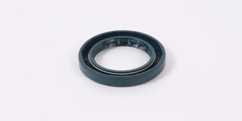 Masport Rer3000 Crankcase Seal Kit 1