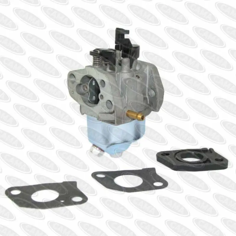 Victa/Sanli V40 Carburetor Assembly 1